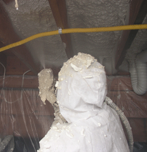  DE crawl space insulation